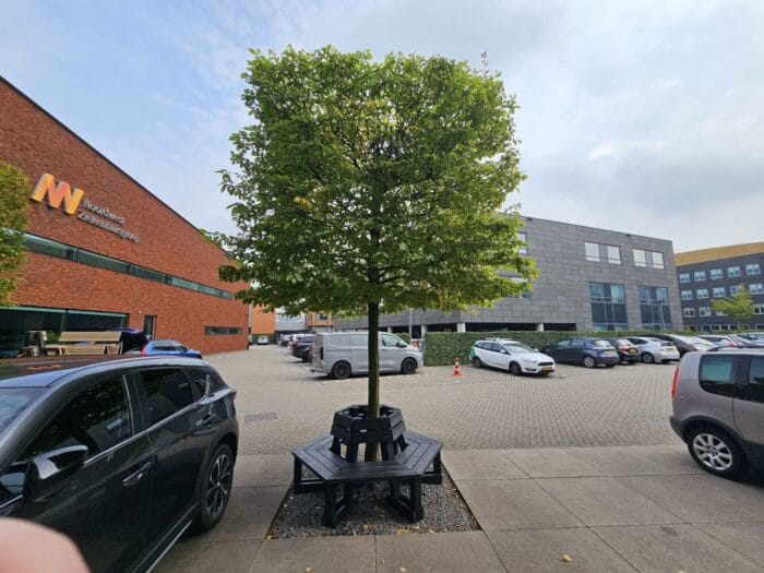 Boombank met rugleuning - zwart - Afbeelding 4